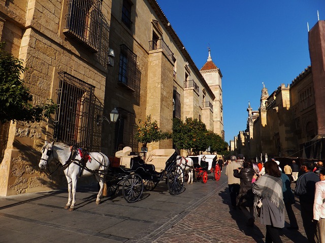d0048350_20292453.jpg