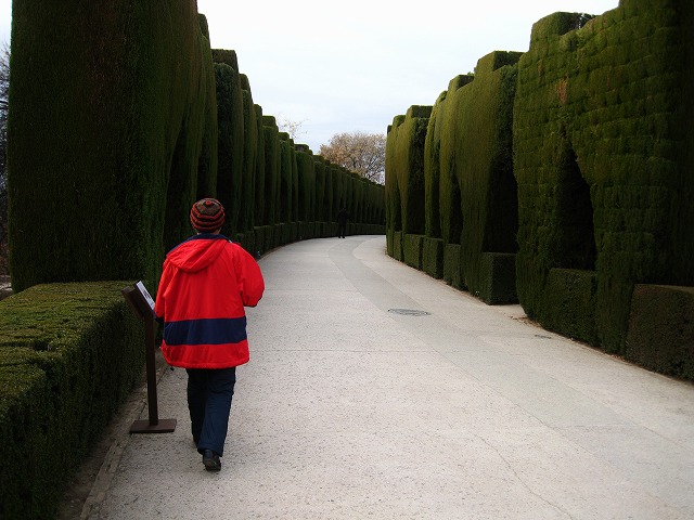 d0048350_21405683.jpg