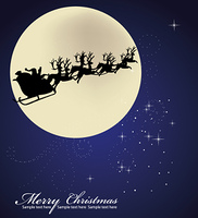 Merry Christmas_b0299052_740417.jpg