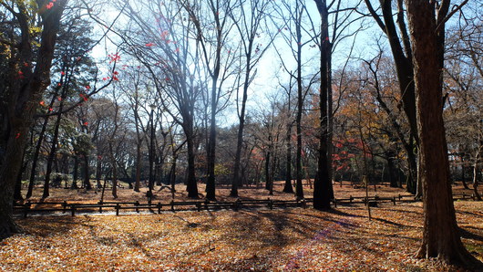 c0269855_650278.jpg