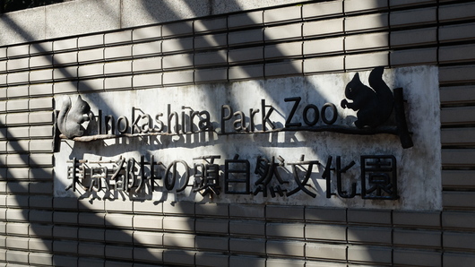 c0269855_6555624.jpg