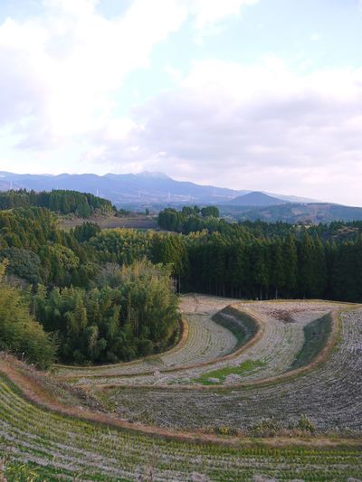 菊池水源棚田米 冬の棚田の様子と鞍岳の冠雪_a0254656_17563888.jpg