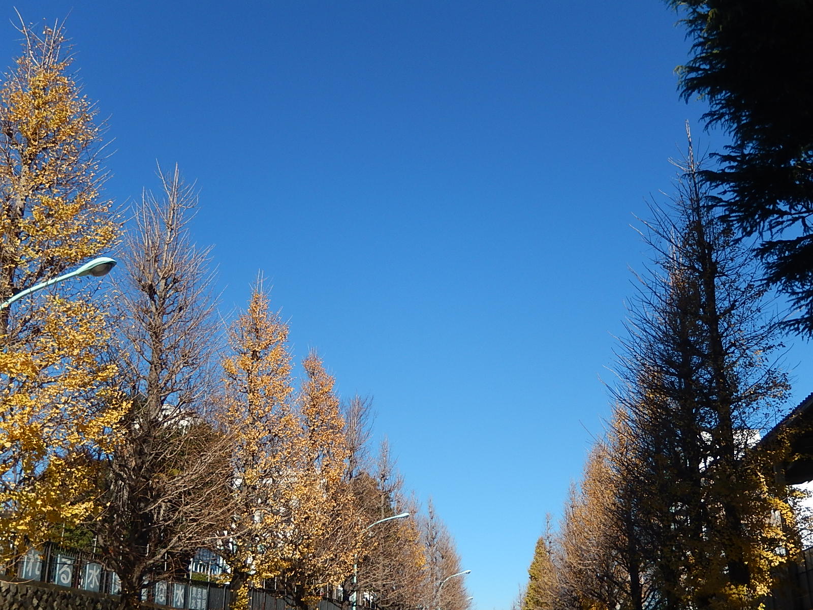 12月22日　渋谷　原宿　の自転車屋　FLAME bike前です_e0188759_11544873.jpg