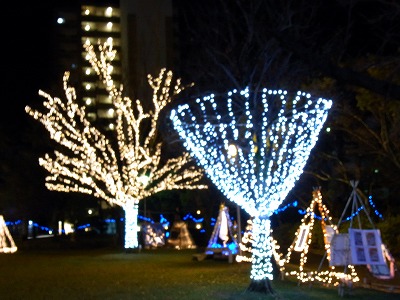 b0069366_74883.jpg