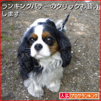 b0181081_9484018.gif