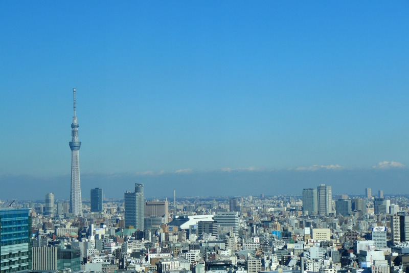 a0127090_1653595.jpg