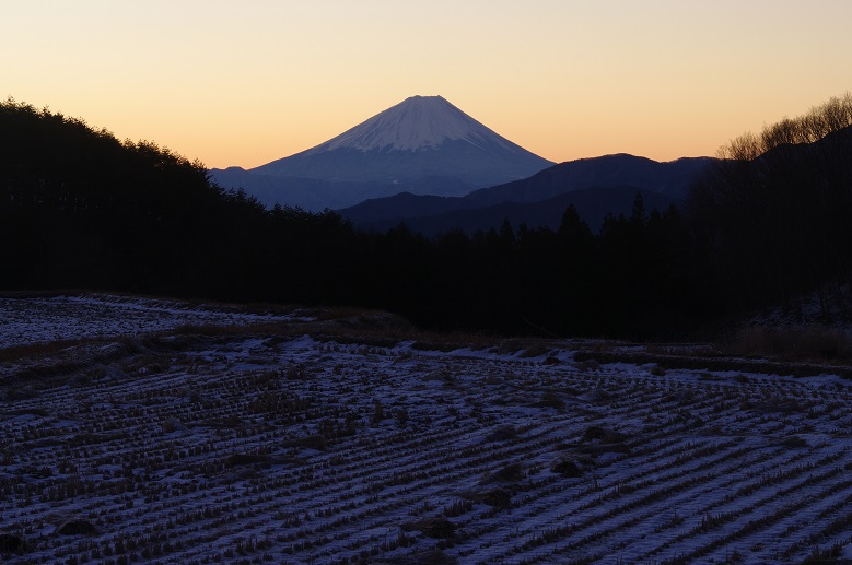 黎明の富士山_f0163491_856149.jpg