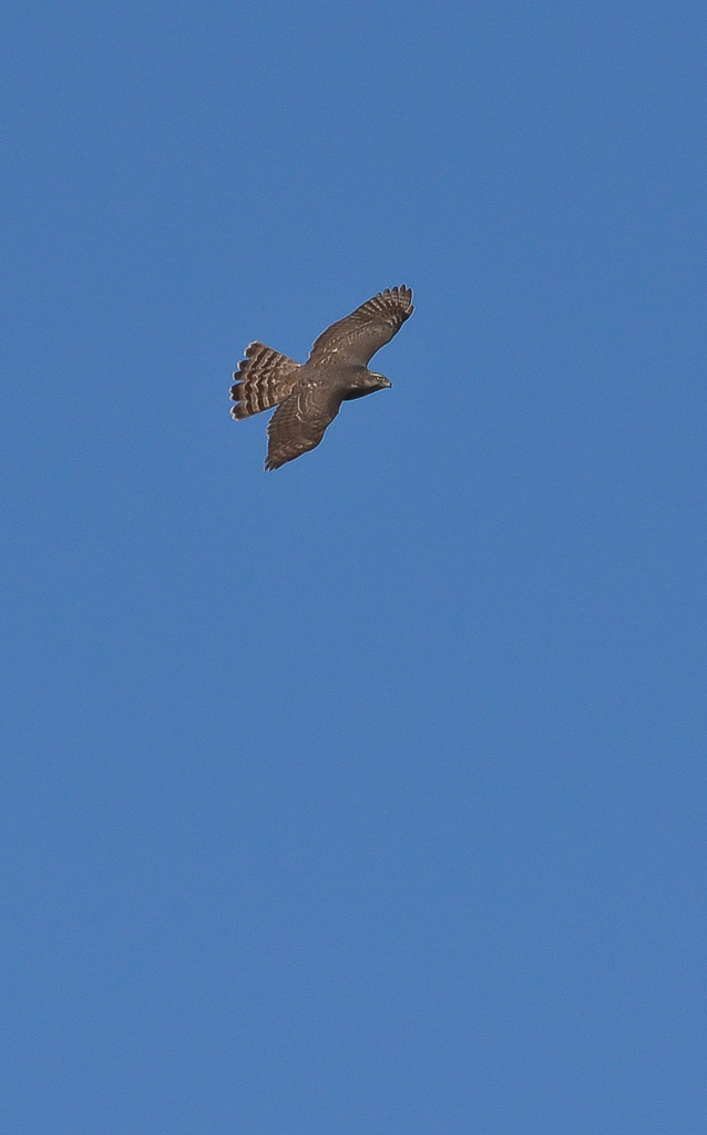 b0078795_16444410.jpg