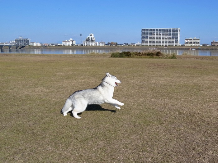 c0049299_20335846.jpg