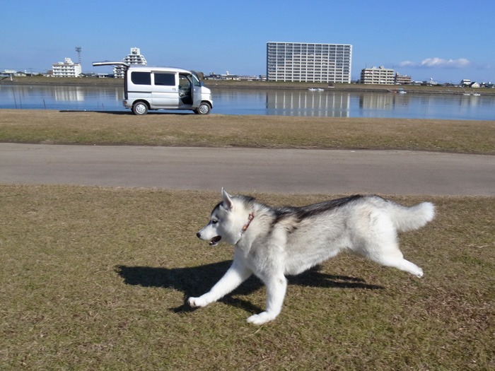 c0049299_20352961.jpg