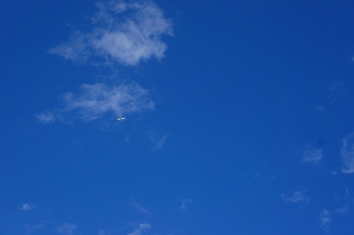d0141800_2424744.jpg
