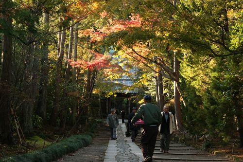 秋の鎌倉　明月院～寿福寺_c0297004_2021214.jpg