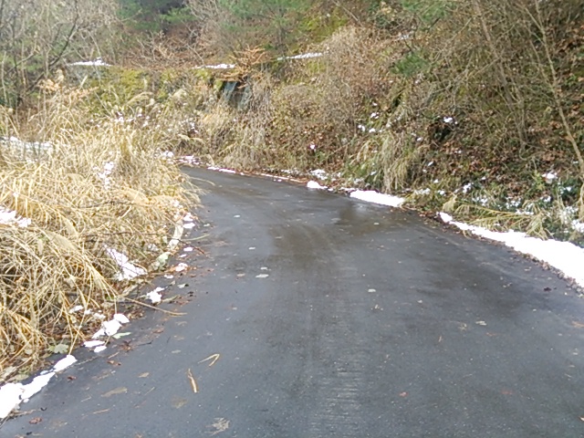 c0030607_15114049.jpg