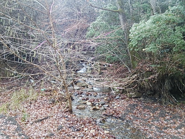 c0030607_15183231.jpg