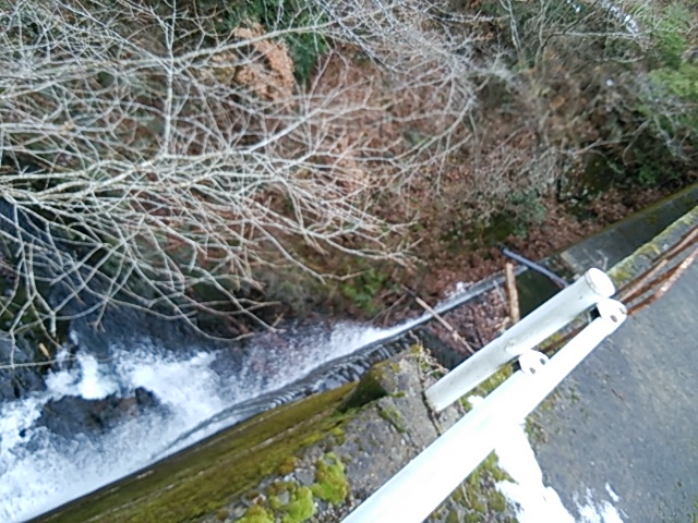 c0030607_152615.jpg
