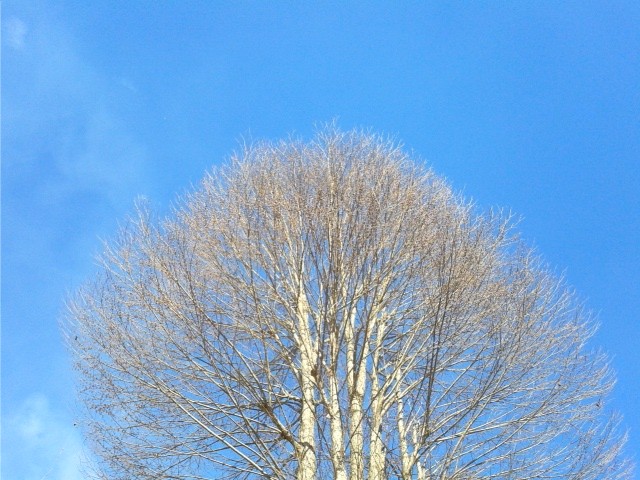 f0024708_5343673.jpg