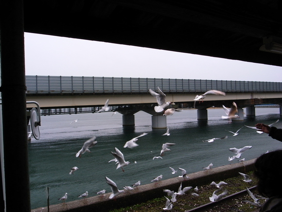 f0297809_1319573.jpg
