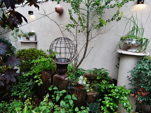 ヘデラが好き あの植物の名前は Daisy Bee の多肉でガーデニング