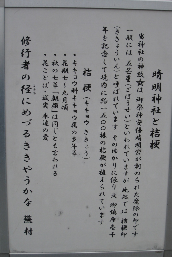 d0287413_17125618.jpg