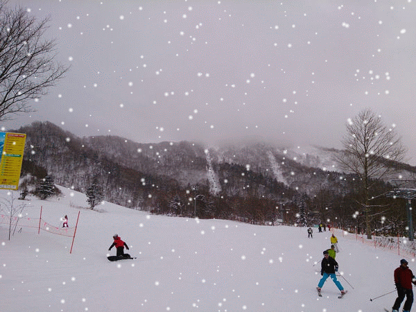 e0126914_22162988.gif