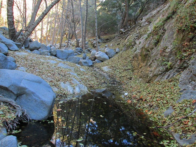 ウォータープールに心弾むトレイル　　　　　Switzer falls - Bear Canyon Trail Camp in Angeles National Forest_f0308721_15551440.jpg