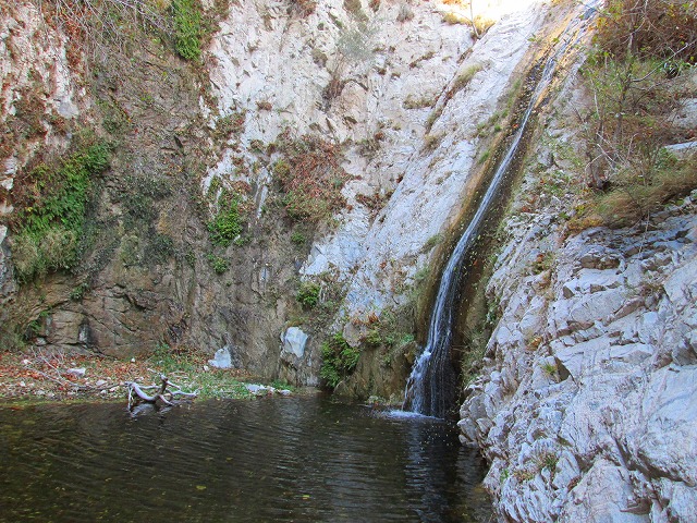 ウォータープールに心弾むトレイル　　　　　Switzer falls - Bear Canyon Trail Camp in Angeles National Forest_f0308721_16122852.jpg