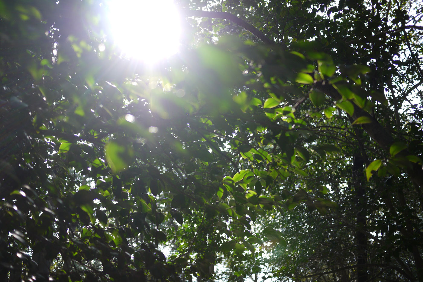 c0064025_2057586.jpg