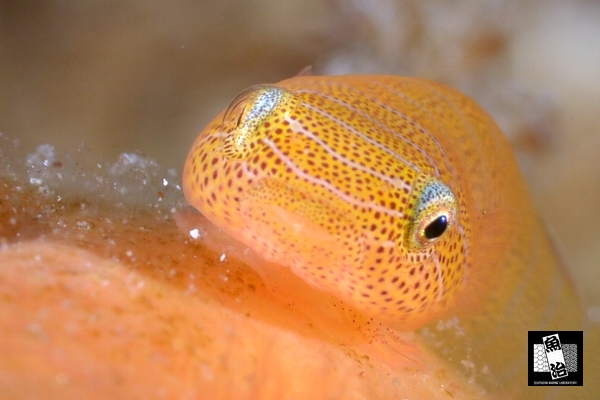 a0150039_3474092.jpg