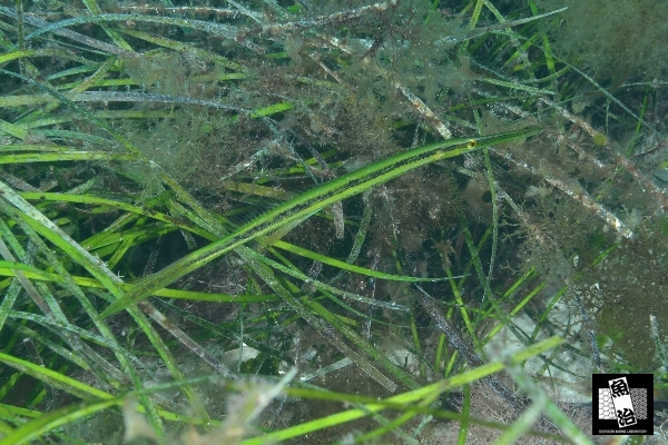 a0150039_3523827.jpg