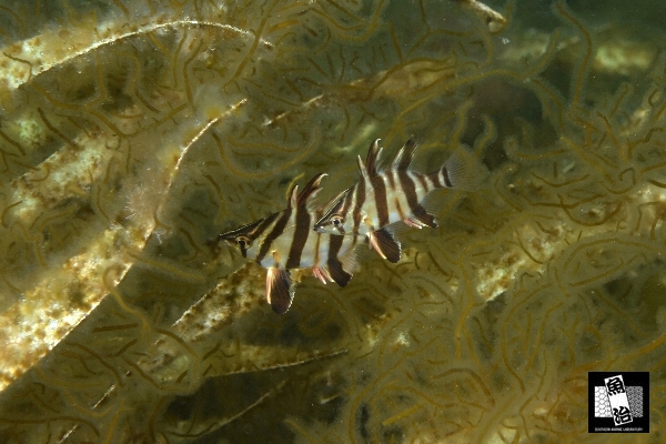 a0150039_3553136.jpg