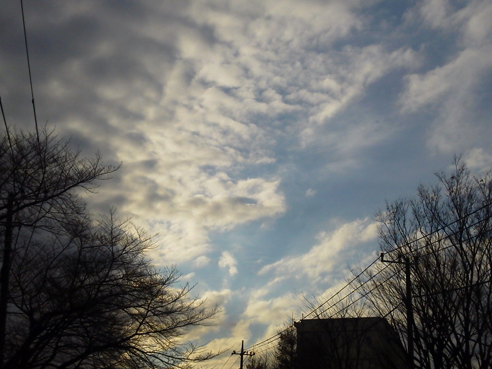 c0076939_19252992.jpg