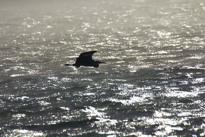 c0067040_2314124.jpg