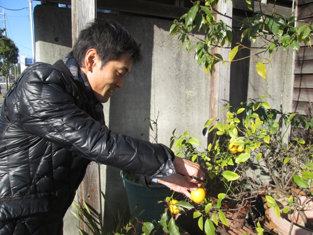 f0177841_1015645.jpg