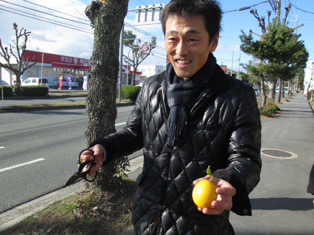 f0177841_1021064.jpg