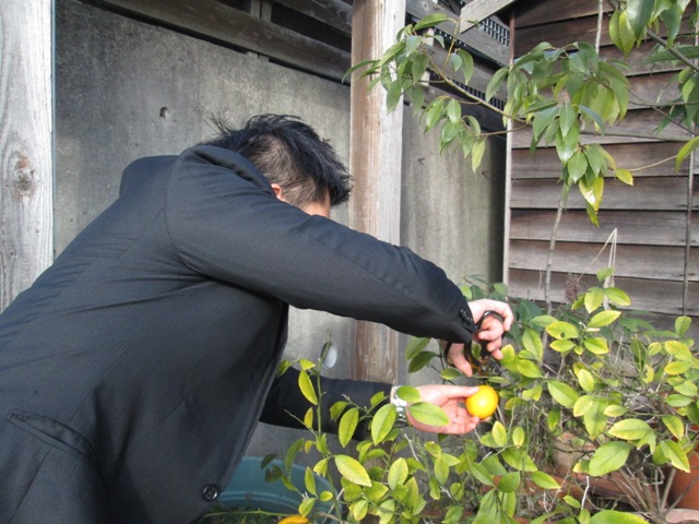 f0177841_103888.jpg