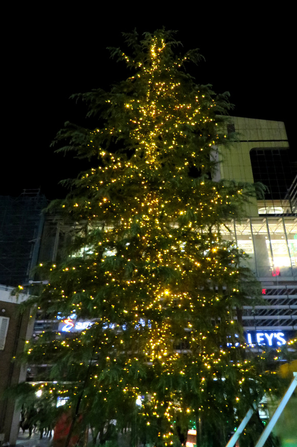 f0063944_16374471.jpg