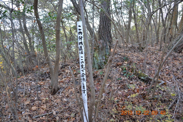 ブログ７号（熊山　この遺跡は必見だ）_d0320746_2003749.jpg