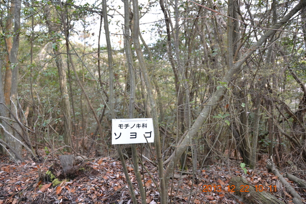 ブログ７号（熊山　この遺跡は必見だ）_d0320746_2144986.jpg