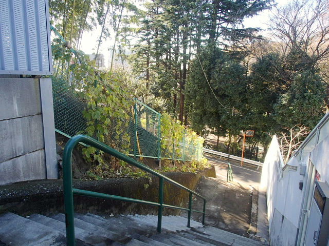 d0063149_19255325.jpg