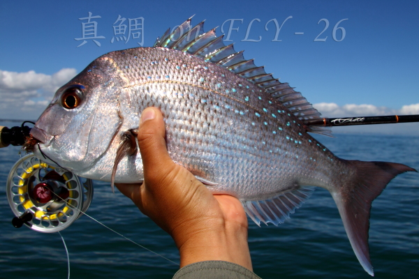 a0210153_2217306.jpg
