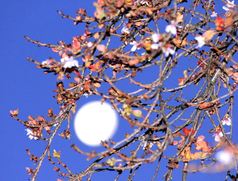 a0248459_06003548.jpg
