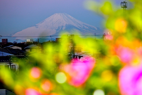 a0248459_06043140.jpg