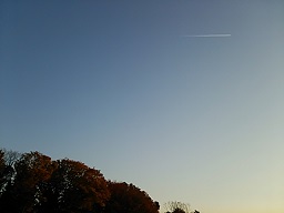 f0130259_232327.jpg
