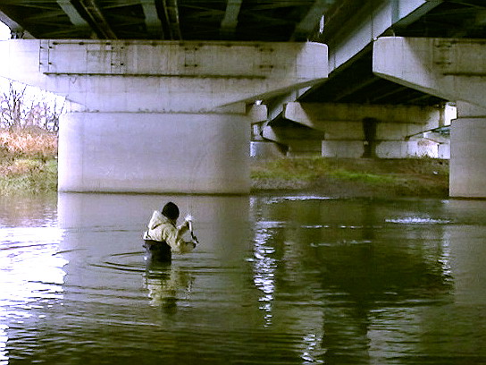 f0084561_1237412.jpg