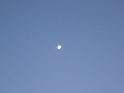 f0230961_7234890.jpg