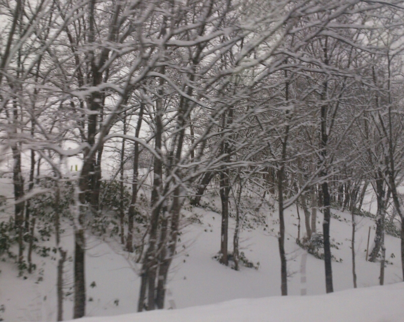 c0311170_18563641.jpg