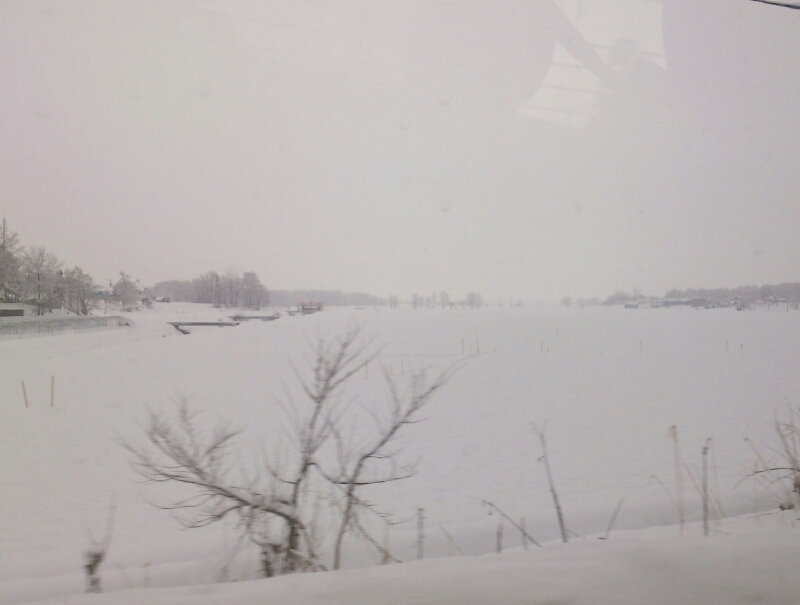 c0311170_1911629.jpg