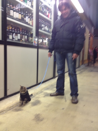 22/12/2013 ねこの散歩_a0136671_02234836.jpg