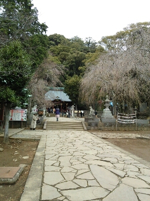 伊豆山神社_f0302381_1258568.jpg