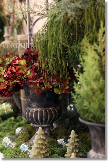 VERDURE 12月のレッスン　Ｂougie_e0164690_23282539.jpg